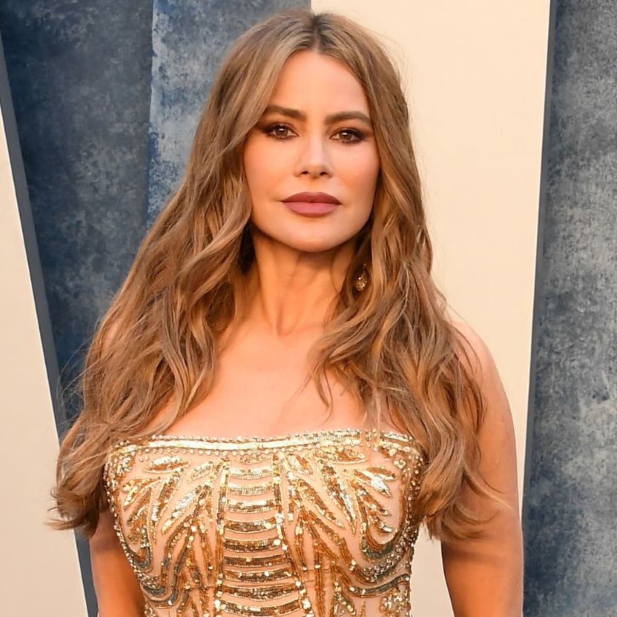 Sofia Vergara Sports Tousled Waves in Desert Selfie From Trip to Saudi  Arabia - Sports Illustrated Lifestyle