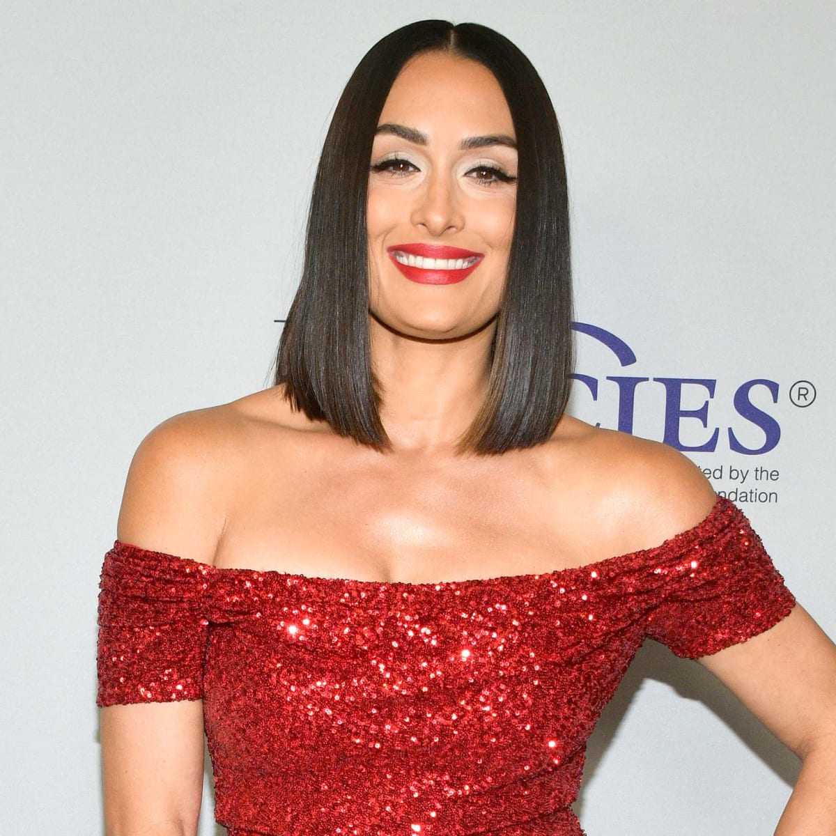 Nikki Bella Clothes and Outfits, Page 2