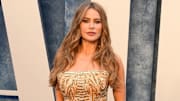 Sofia Vergara.